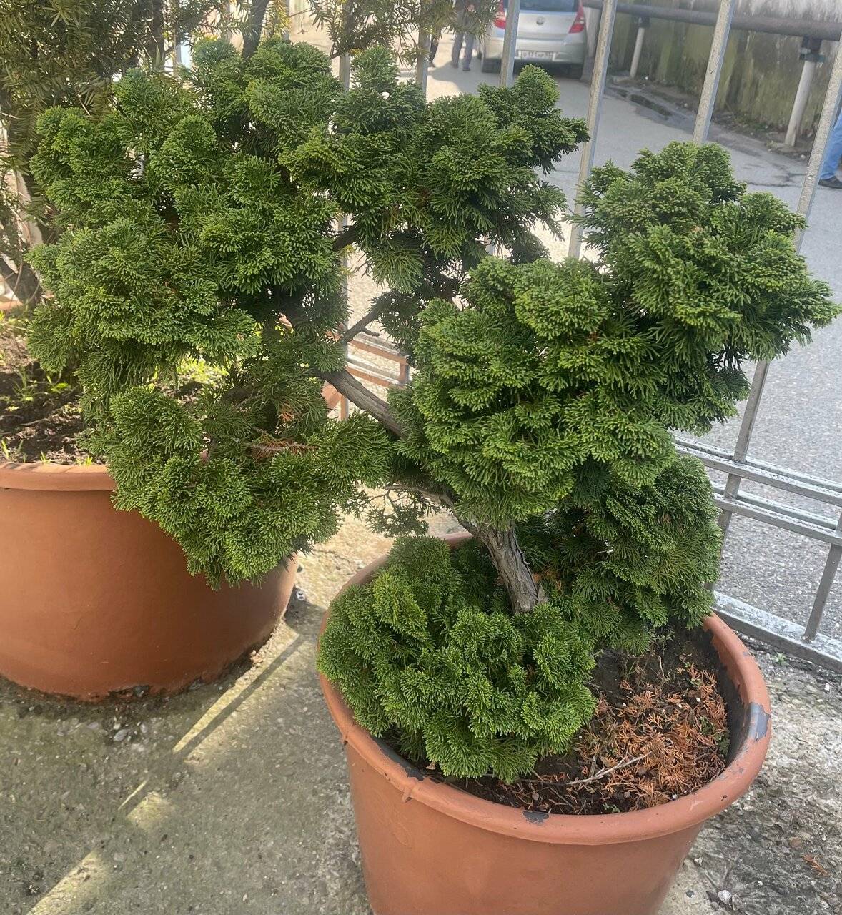 Фото Гостиницы Русь Туапсе 172