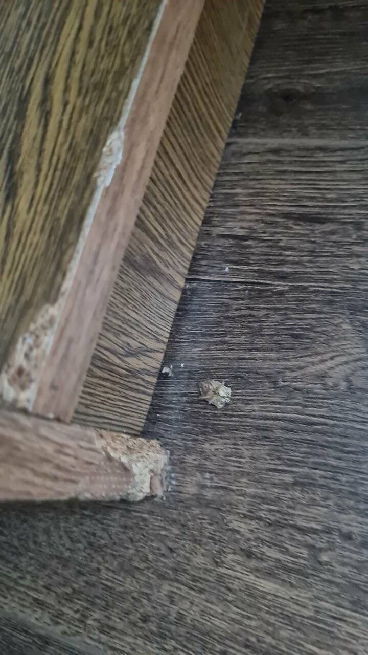 Фото Гостиницы Русь Туапсе 189