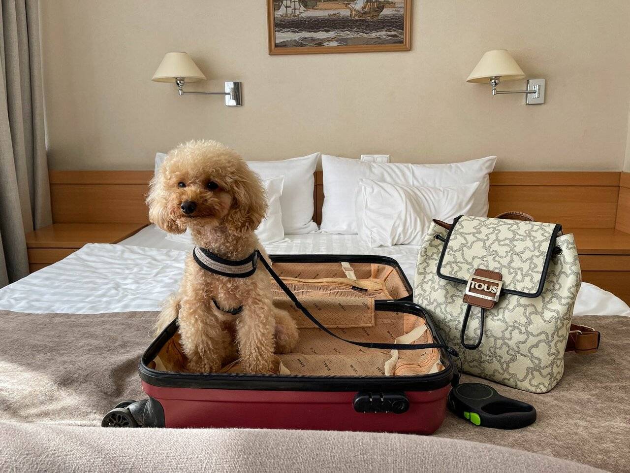 Фото Гостиницы Русь Туапсе 29