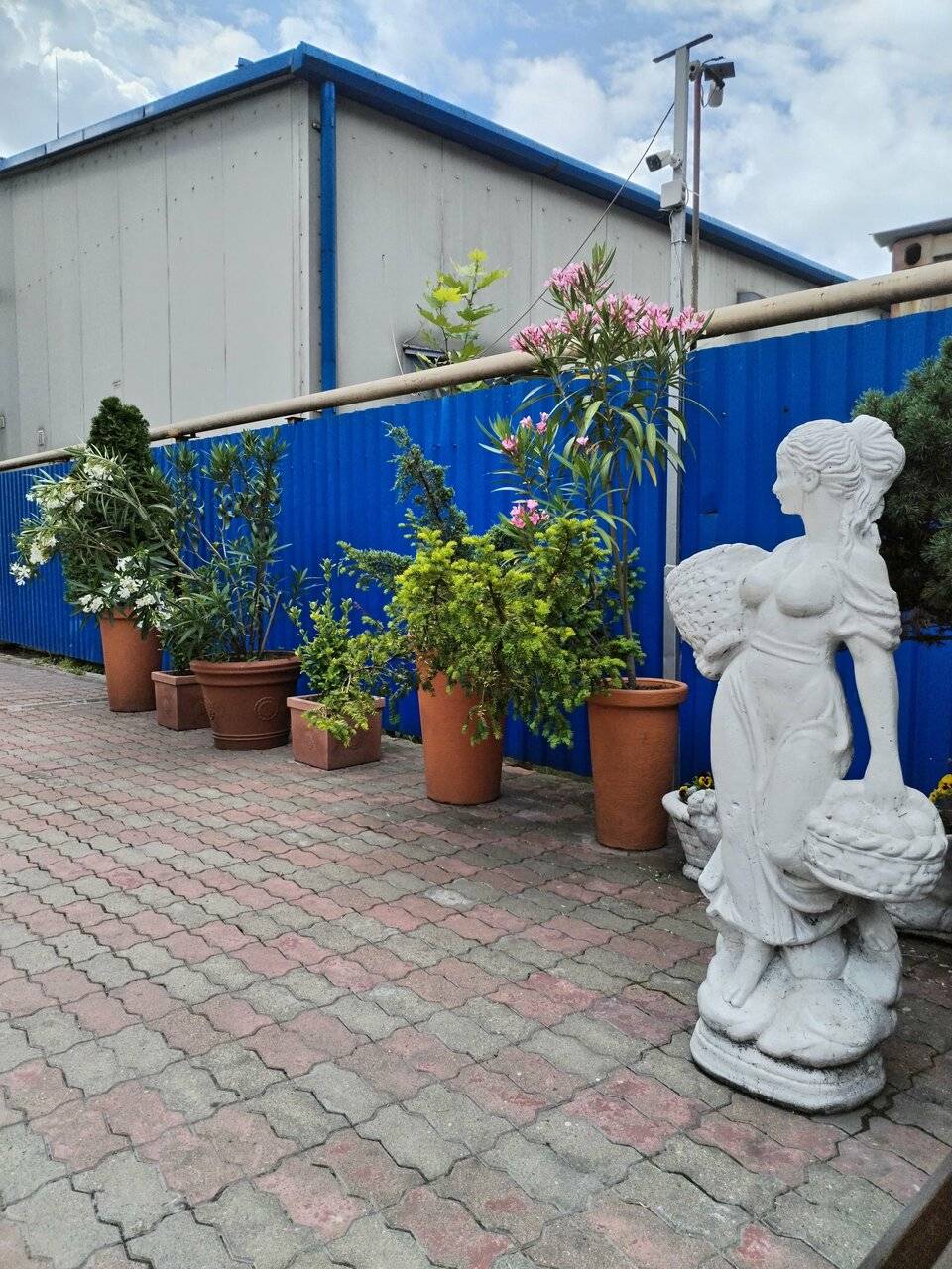 Фото Гостиницы Русь Туапсе 176